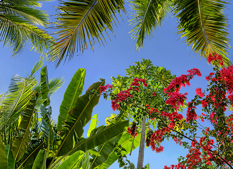 Tropics 03b